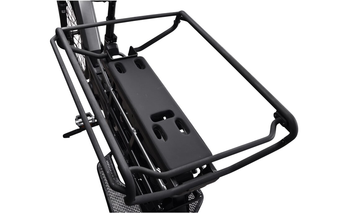 Kettler Flair L-N Belt + Passenger Kit - 545 Wh - 20 Zoll - Longtail - 2026