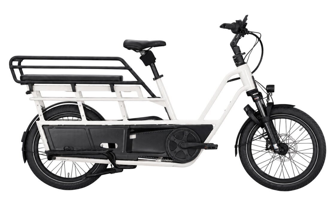 Kettler Flair L-N Belt + Passenger Kit - 545 Wh - 20 Zoll - Longtail - 2026