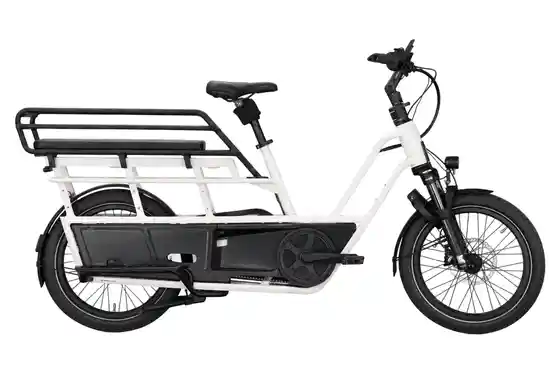 XXL Sale % - Kettler Flair L-N Belt + Passenger Kit - 545 Wh - 20 Zoll - Longtail - 2027