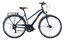 Raymon TourRay 1.0 - 28 Zoll - Trapez