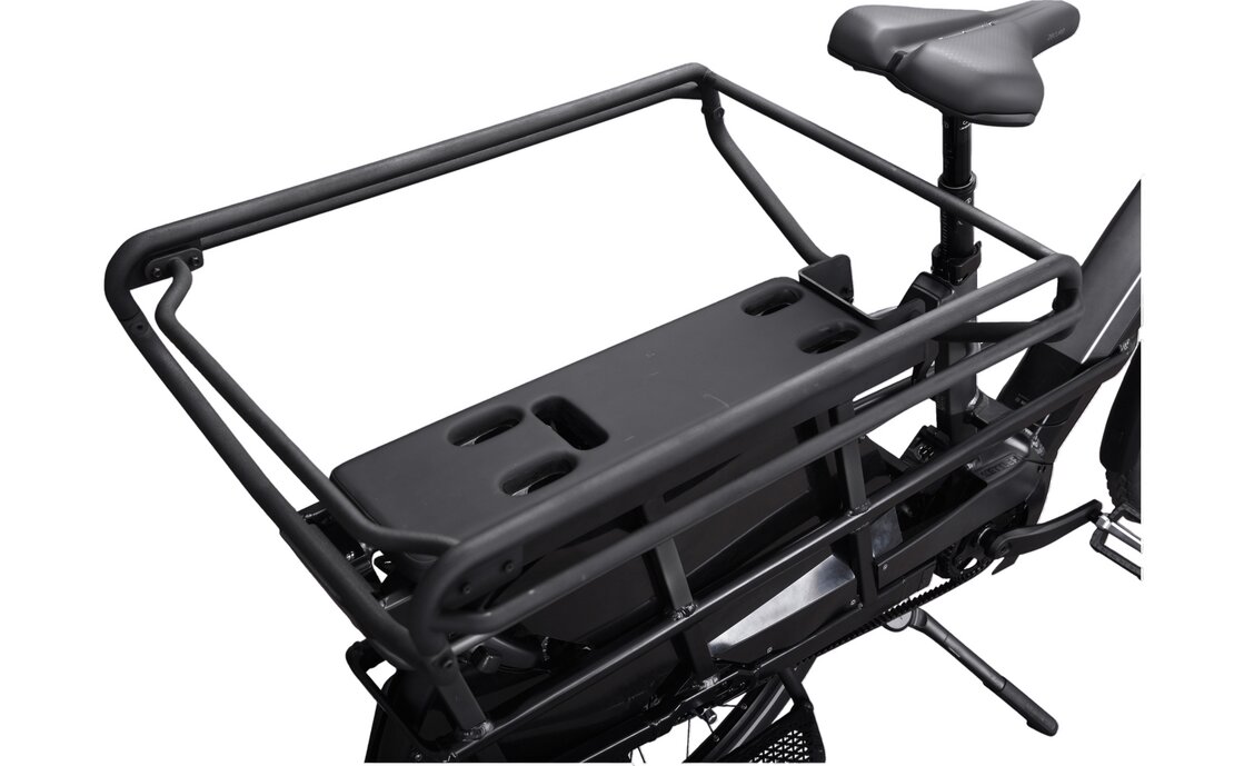Kettler Flair L-N Belt + Passenger Kit - 545 Wh - 20 Zoll - Longtail - 2026