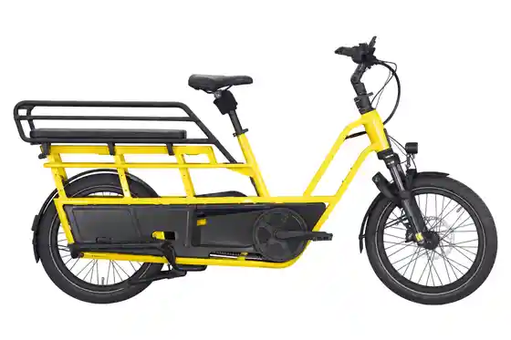 XXL Sale % - Kettler Flair L-N Belt + Passenger Kit - 545 Wh - 20 Zoll - Longtail - 2027