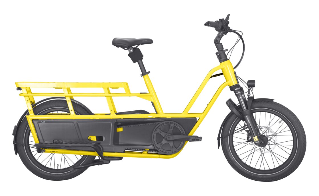Kettler Flair L-N Belt + Passenger Kit - 545 Wh - 20 Zoll - Longtail - 2026
