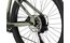 Carver Strict E.520 - B-Ware - 625 Wh - 29 Zoll - Diamant
