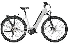 Focus Planet2 6.8 - 625 Wh - 29 Zoll - Tiefeinsteiger