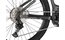 Carver Strict E.540 - B-Ware - 625 Wh - 29 Zoll - Diamant