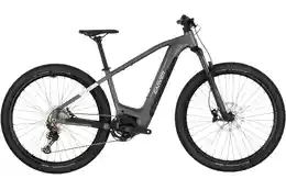 Carver Strict E.540 - B-Ware - 625 Wh - 29 Zoll - Diamant