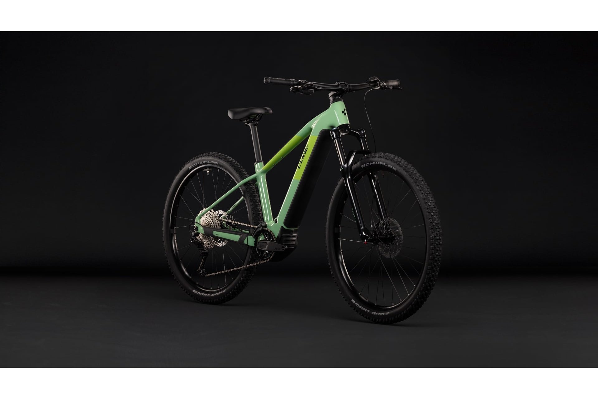 Cube Reaction Hybrid ONE 720 - 720 Wh - 29 Zoll - Diamant