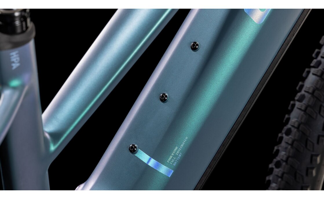 Cube Reaction Hybrid Pro 800 - 800 Wh - 29 Zoll - Damen Sport