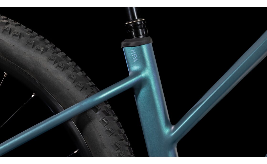 Cube Reaction Hybrid Pro 800 - 800 Wh - 29 Zoll - Damen Sport