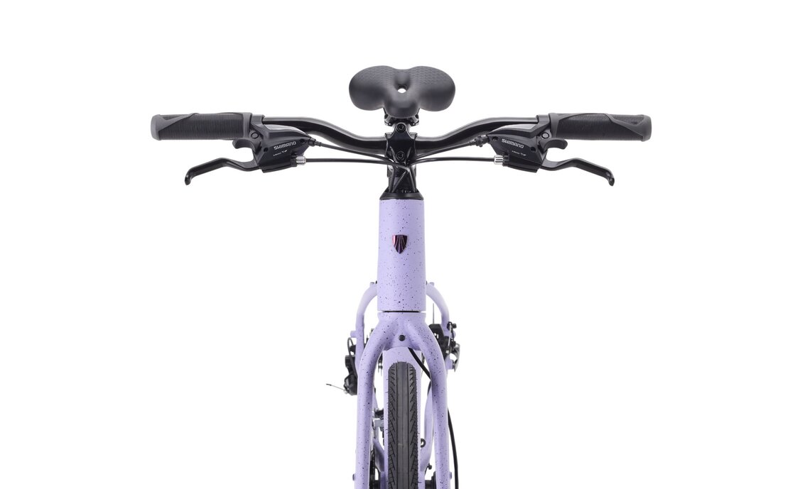 Trek FX 1 Midstep Gen 4 - 28 Zoll - Trapez - 2027