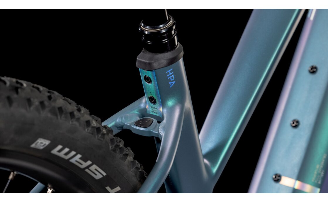 Cube Reaction Hybrid Pro 800 - 800 Wh - 29 Zoll - Damen Sport