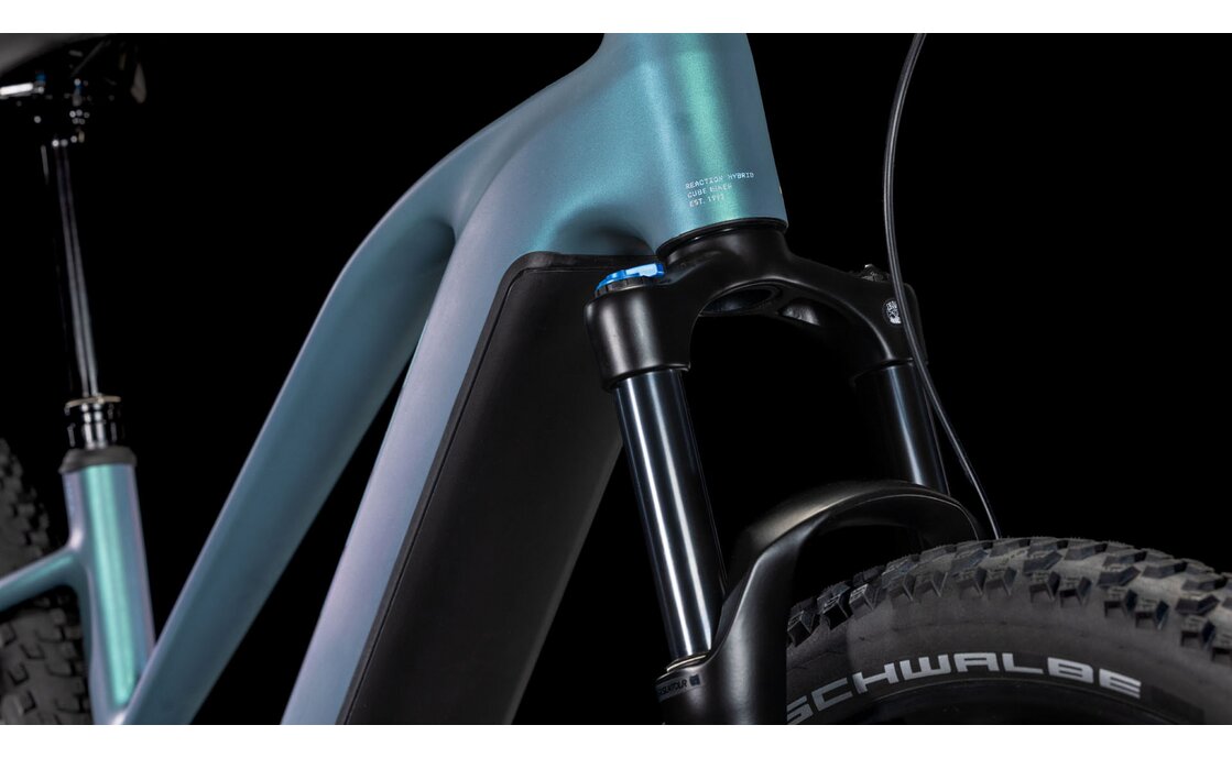 Cube Reaction Hybrid Pro 800 - 800 Wh - 29 Zoll - Damen Sport