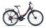 Raymon FourRay 1.5 Street Wave - 24 Zoll - Tiefeinsteiger - 2024