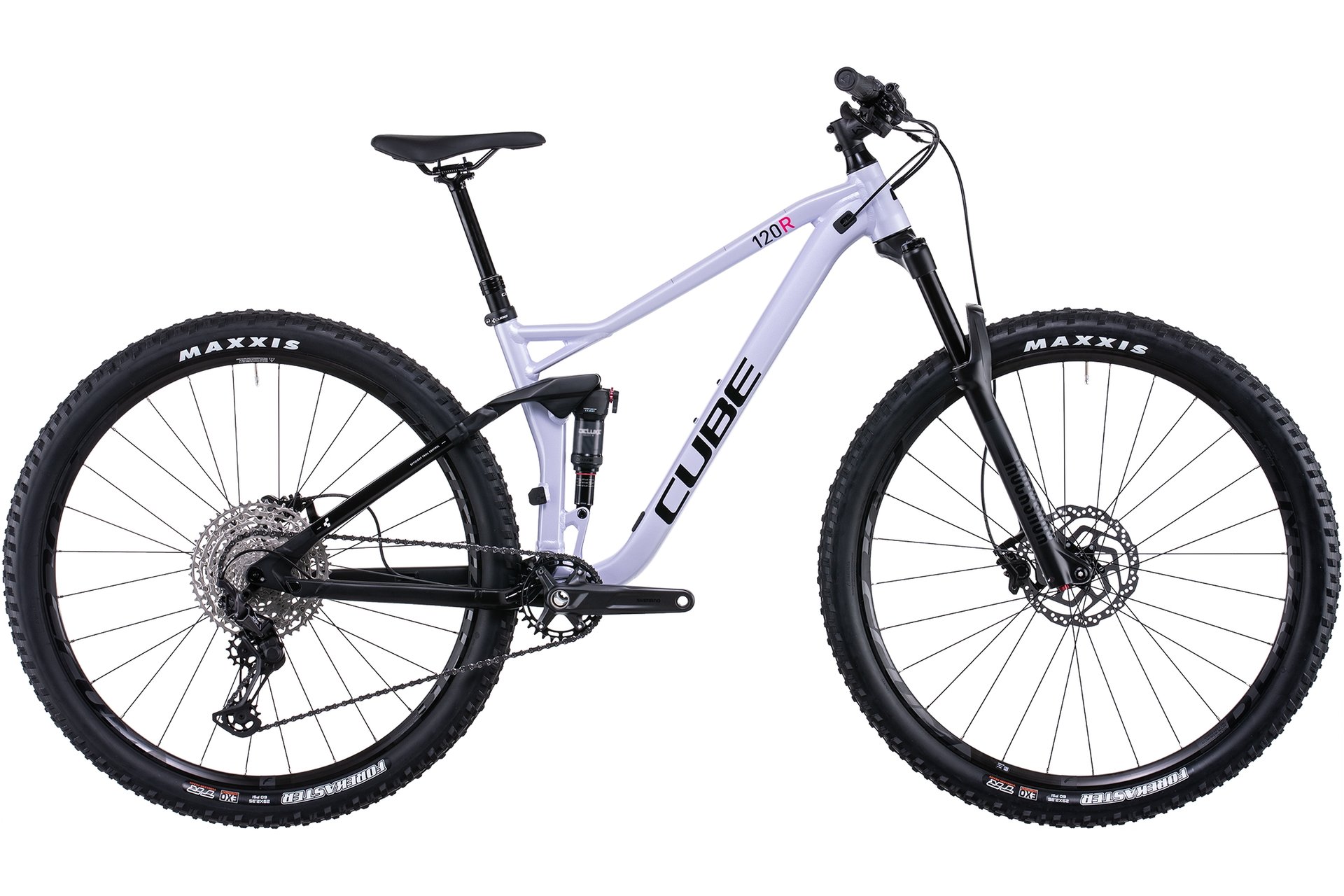 Cube Stereo 120 Race - 29 Zoll - Fully - Aktion