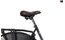 Gazelle Classic RT - 28 Zoll - Tiefeinsteiger - 2025