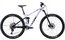Cube Stereo 120 Race - 29 Zoll - Fully - Aktion