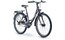 Raymon FourRay 2.5 Street - 24 Zoll - Tiefeinsteiger - 2024