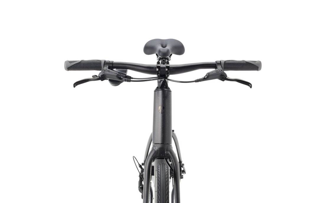 Trek FX 2 Stepover Gen 4 - 28 Zoll - Diamant - 2027