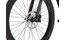 Carver Strict E.540 - B-Ware - 625 Wh - 29 Zoll - Diamant