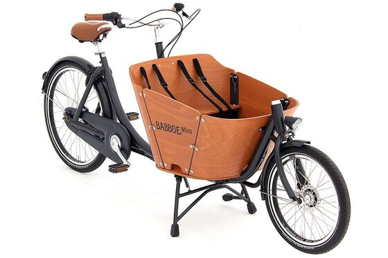Babboe - Babboe Mini - 2022 - 26 Zoll