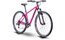 Raymon NineRay 1.0 - 29 Zoll - Diamant - 2024