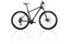 Carver PHT930 - 29 Zoll - Hardtail