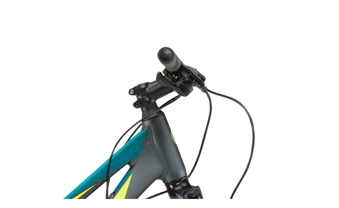 Winora Dakar - 28 Zoll - Trapez