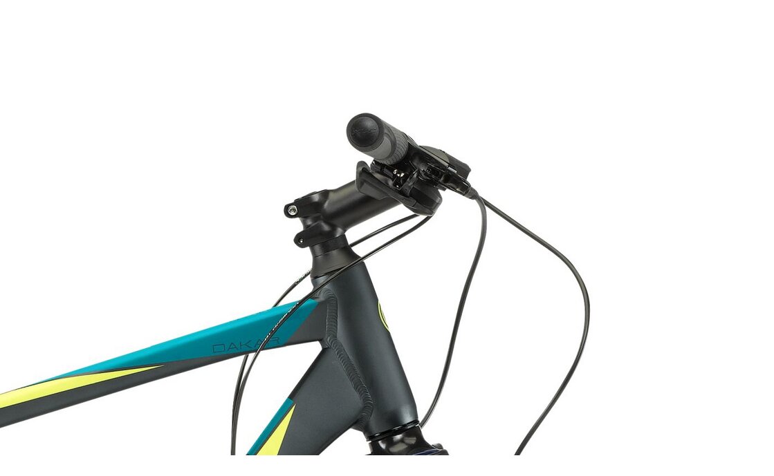 Winora Dakar - 28 Zoll - Diamant