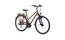 Carver Tour 120 - 28 Zoll - Trapez