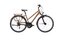 Carver Tour 120 - 28 Zoll - Trapez