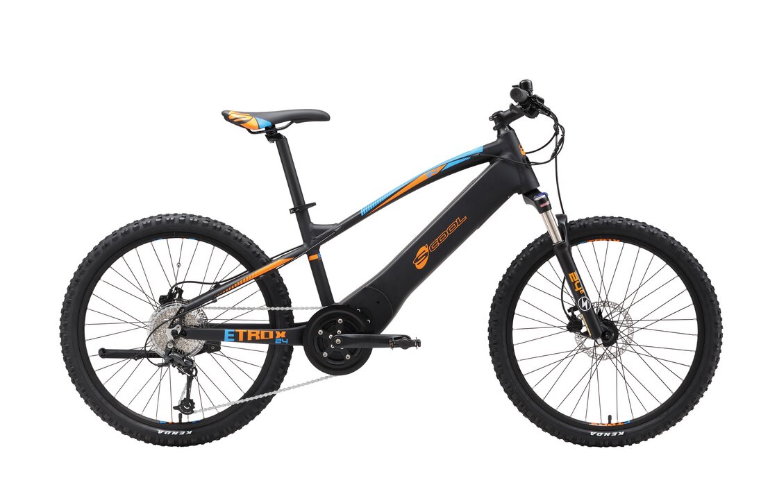 S'cool e-troX 24 9-S - 400 Wh - Auslaufmodell - 24 Zoll - Hardtail