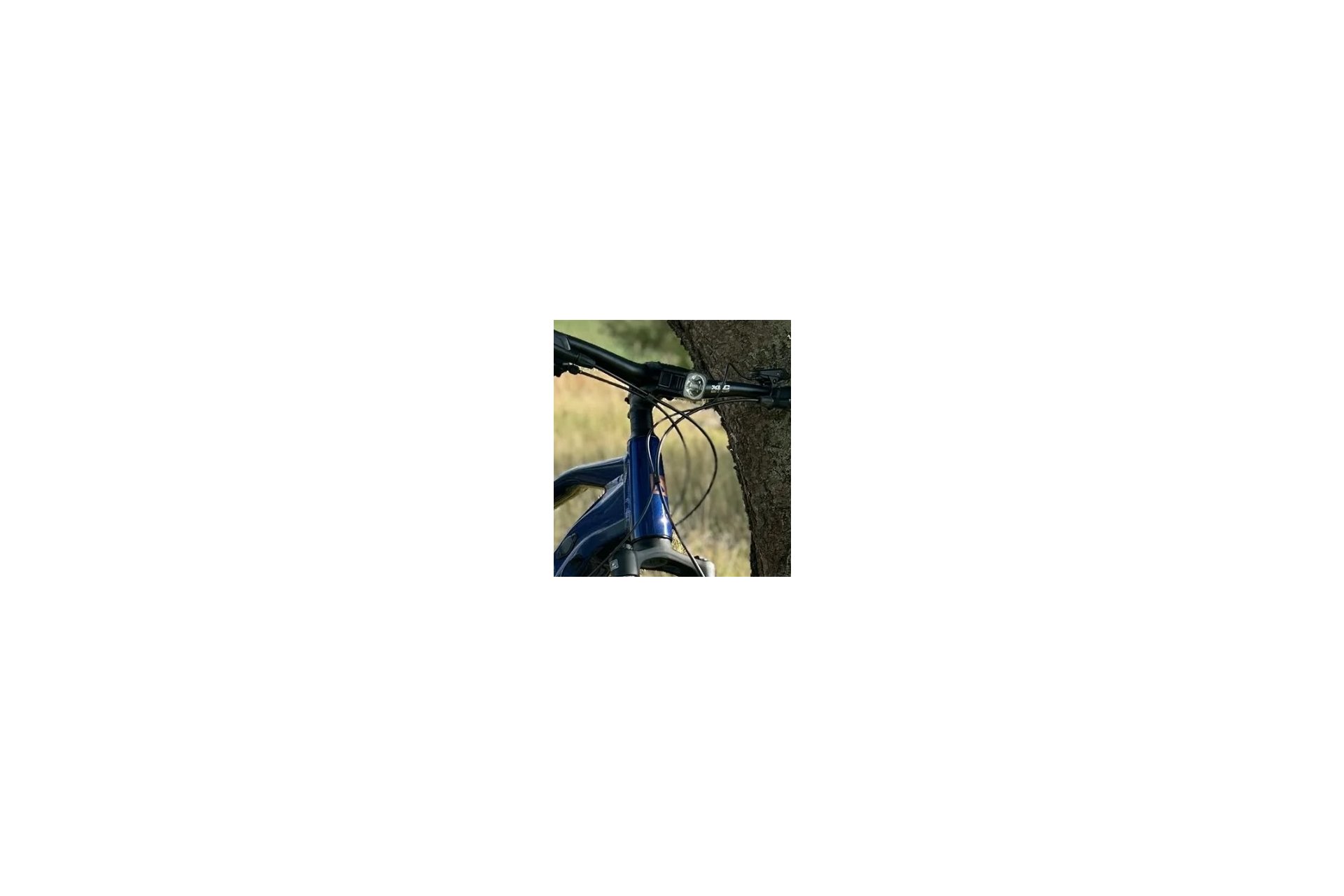 reviewLargeImage
