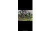 reviewimage