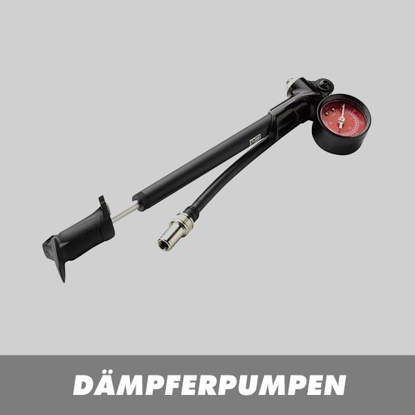 Dämpferpumpen