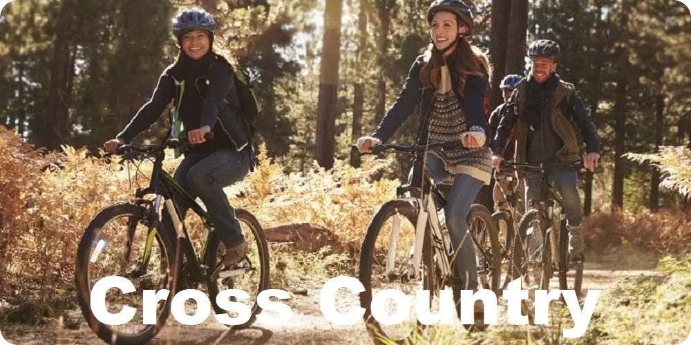 E-Bike Typberatung Cross Bike