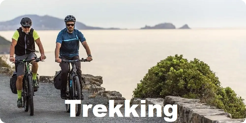 E-Bike Typberatung Trekking Bike