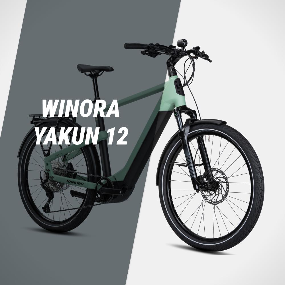 Gewinne das Winora Yukan 12