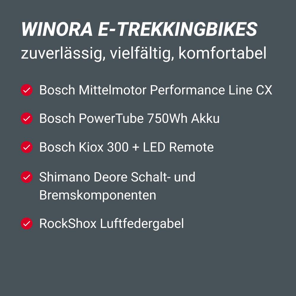 Gewinne das Winora Yukan 12