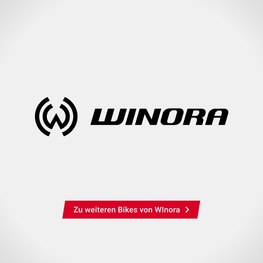 Gewinne das Winora Yukan 12