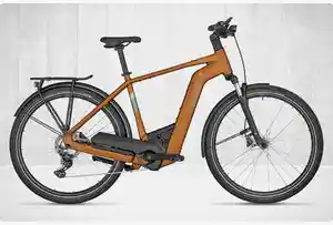 E-Bike Top Kategorie E-Bike Trekking