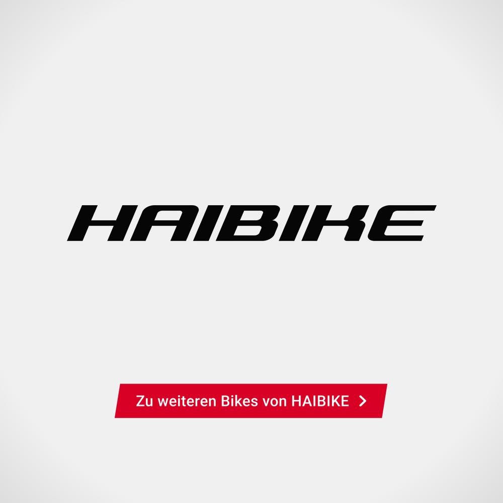 Gewinne das Haibike Adventr SE