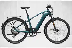 E-Bike 45 kmh Top Kategorie Flyer