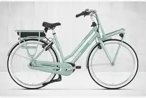 E-Bike City Top Kategorie E-Bike Hollandrad