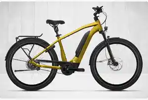 E-Bike City Top Kategorie Herren