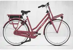 Highlightkacheln E-Bike City Gazelle Hollandrad