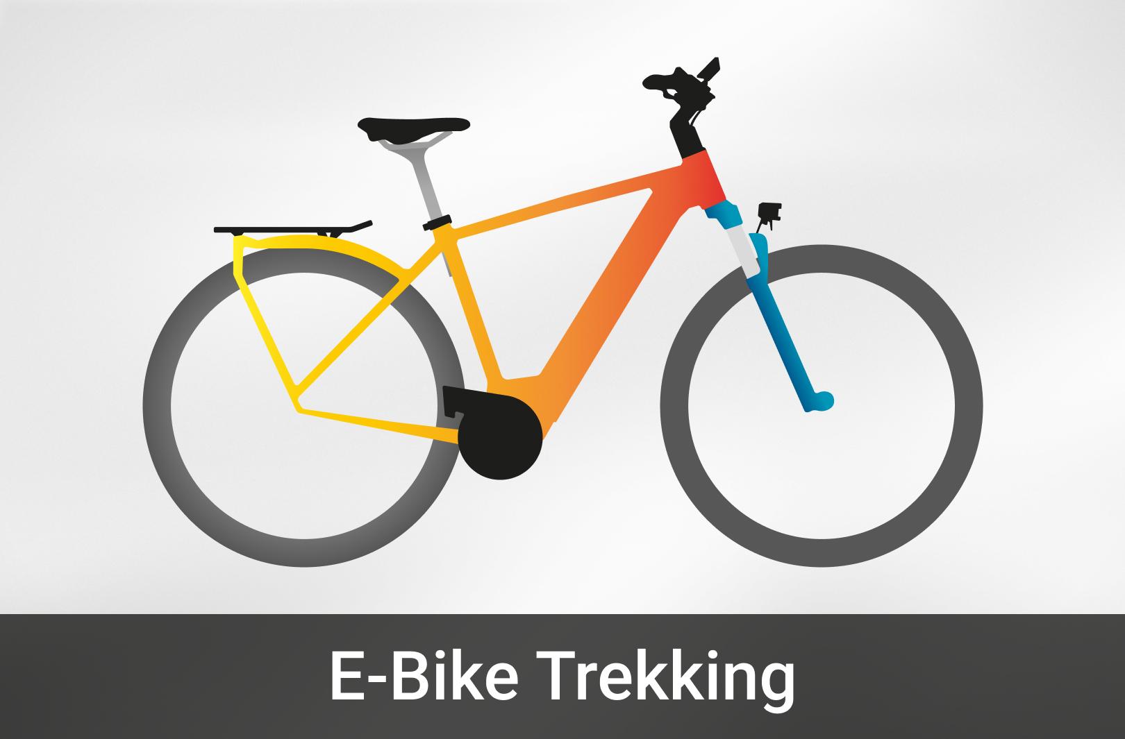 Trekking E-Bike