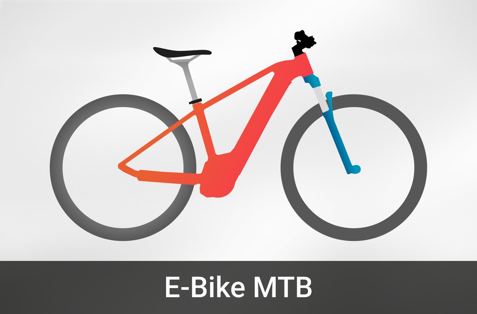 E-MTB Bild