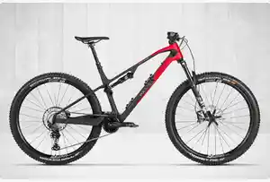 Rotwild E-MTB Highlightkachel