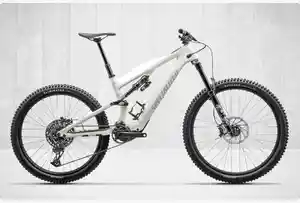 E-MTB Top Kategorie Specialized